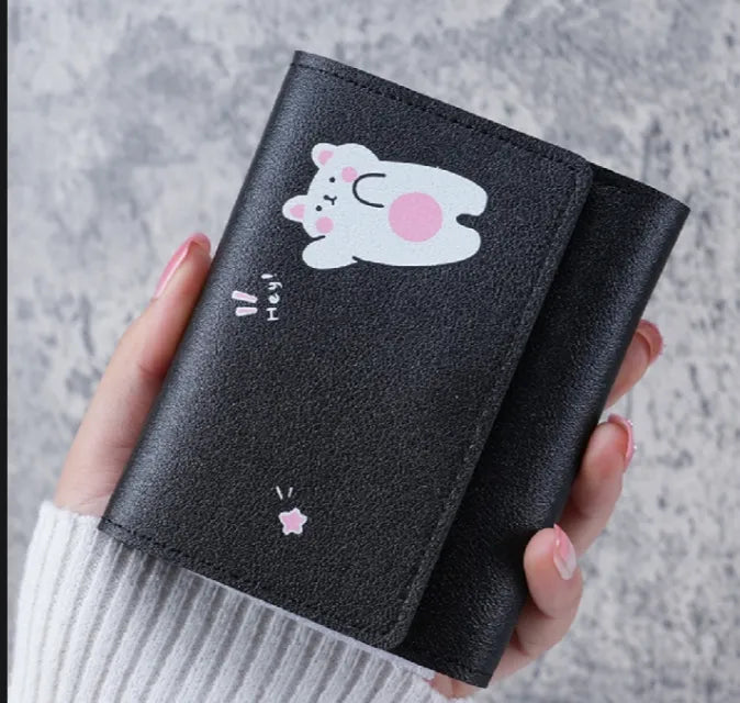Stylish Student Wallet for girls and women